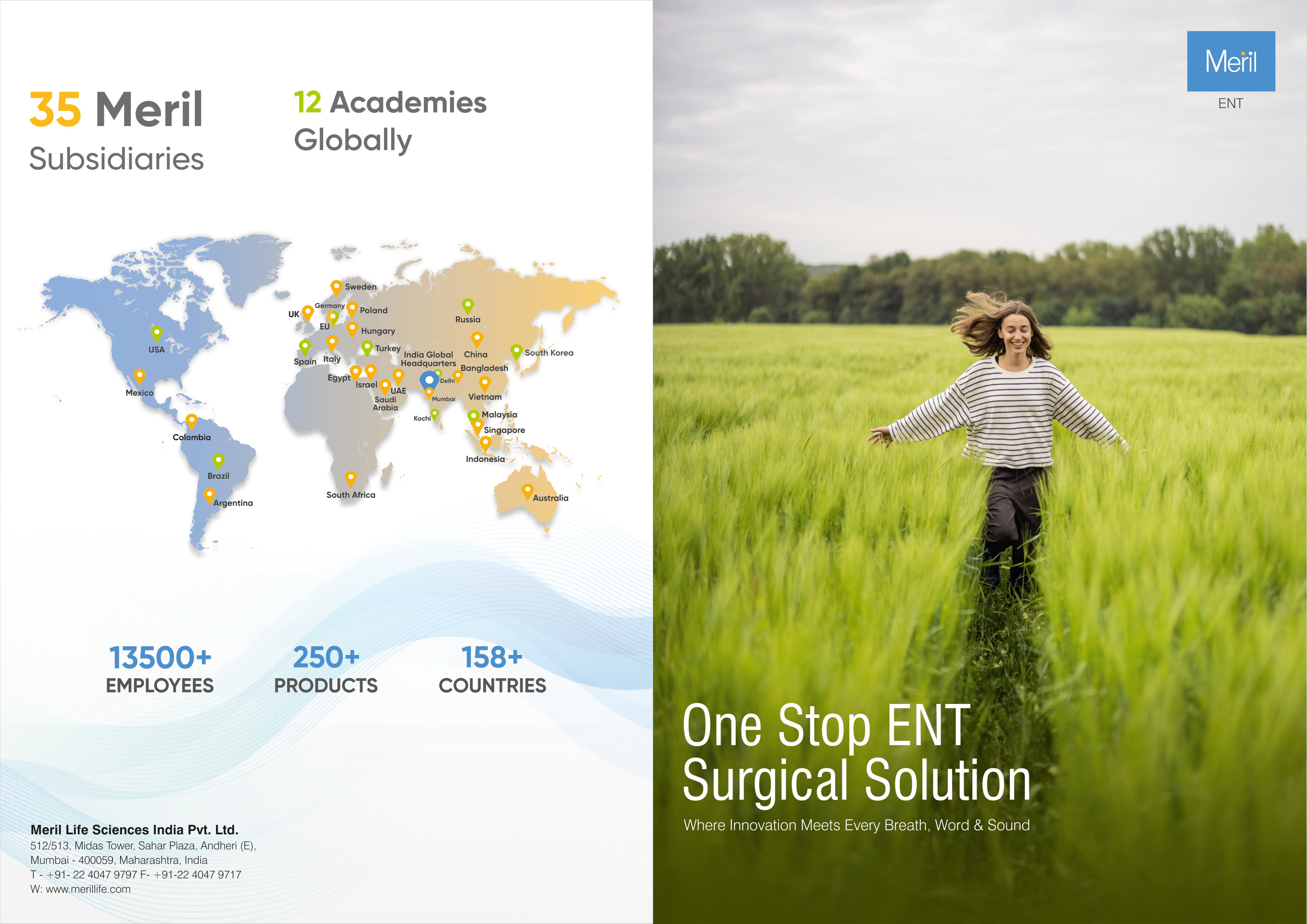 Cogent Balloon-Expandable Peripheral Stent