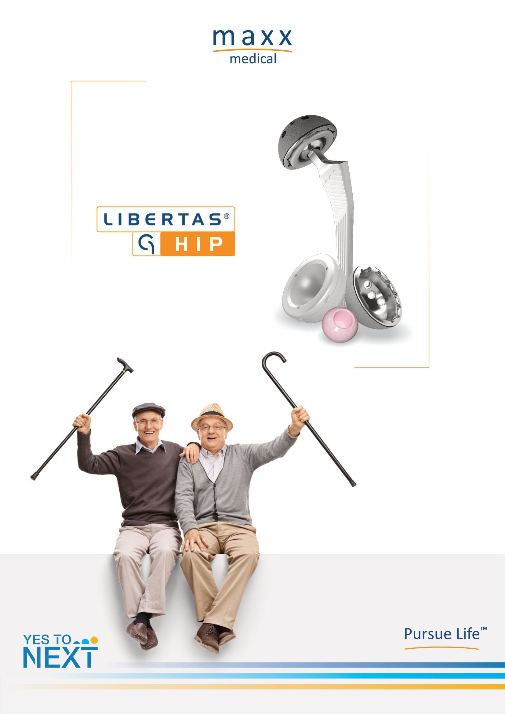 Dynamic Fixation Plate Hip System