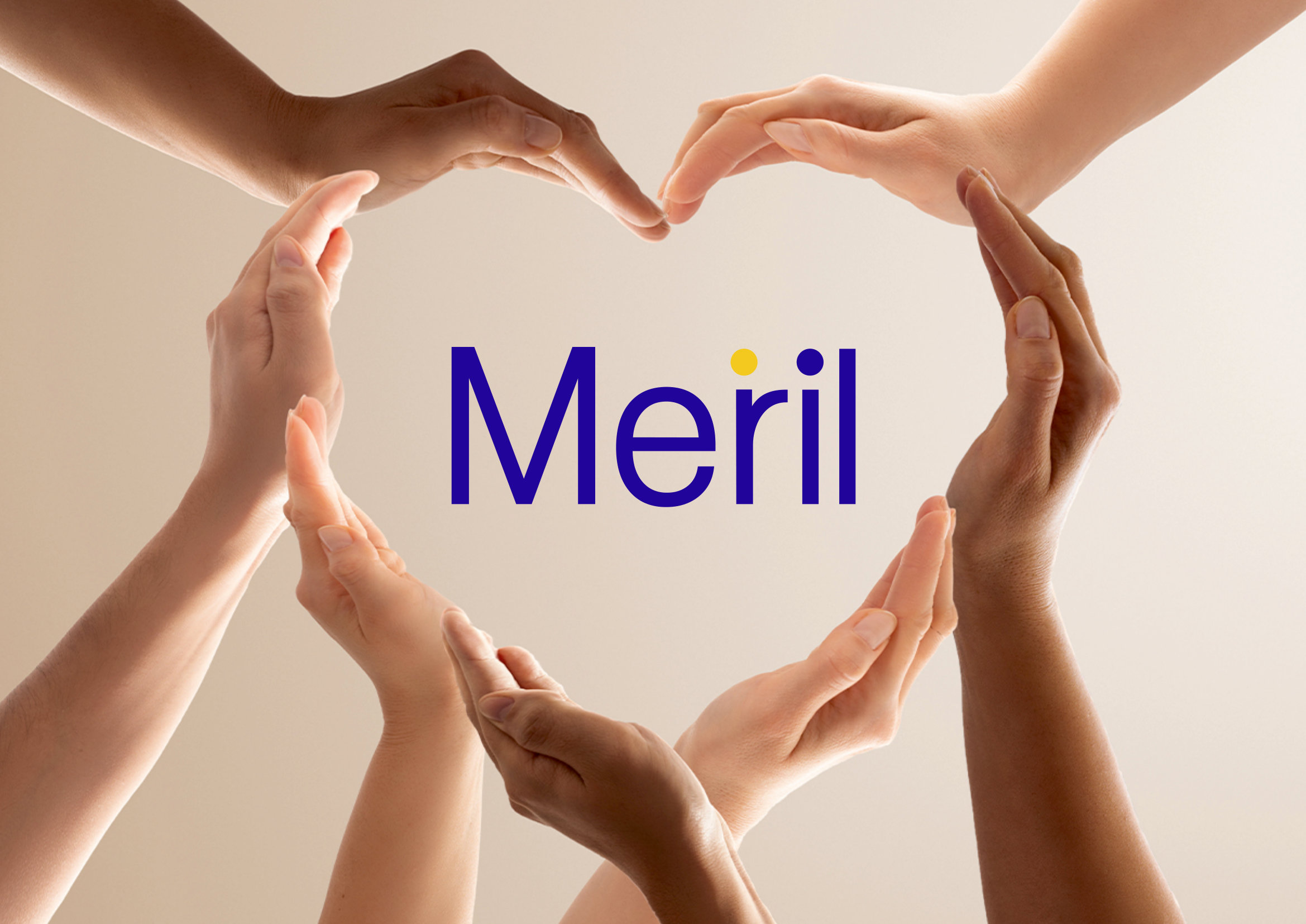 Meril Dafodil Neo Mitral Valve