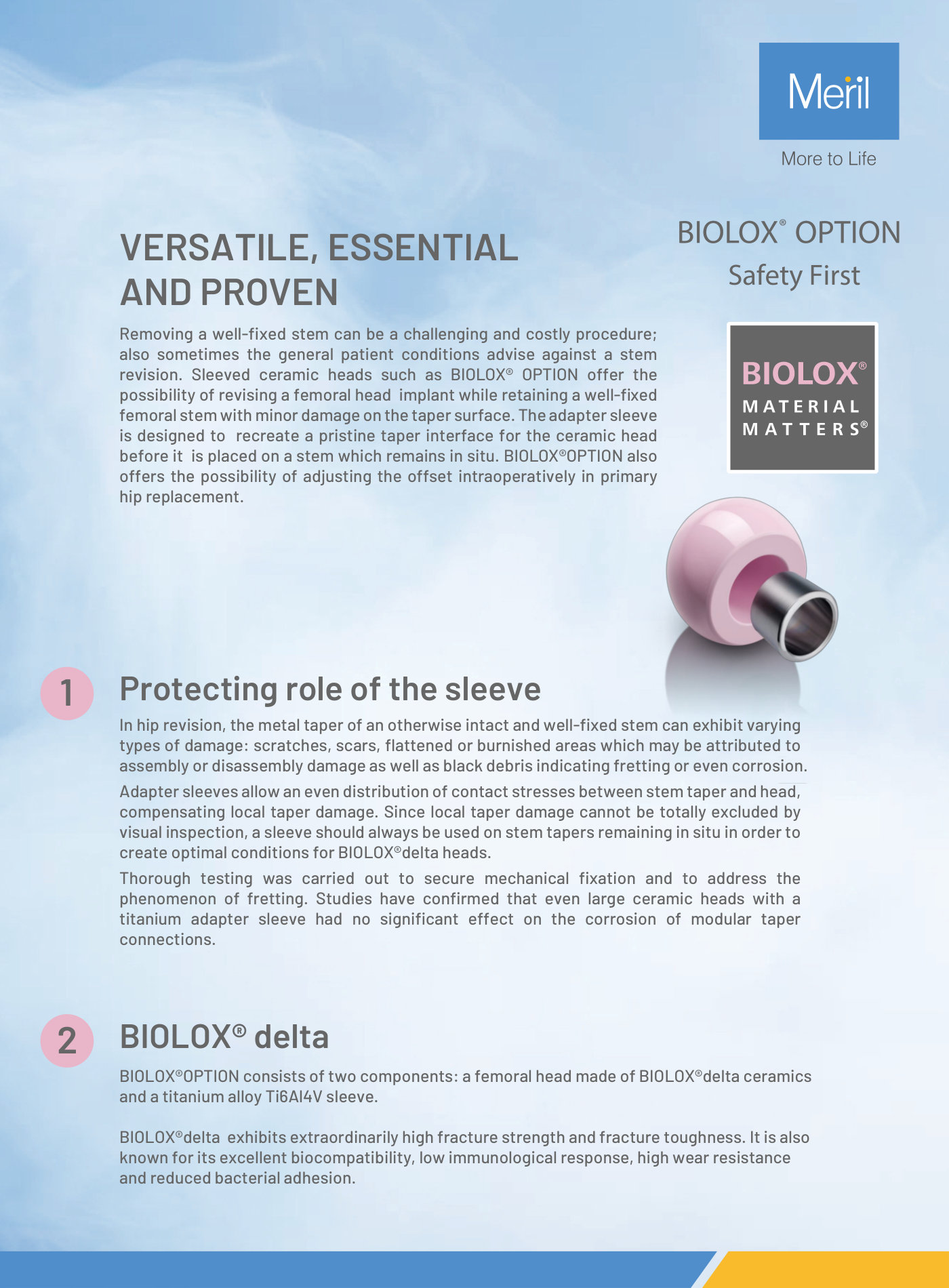 BIOLOX OPTION Ceramic Femoral Head with Adapter Sleeve