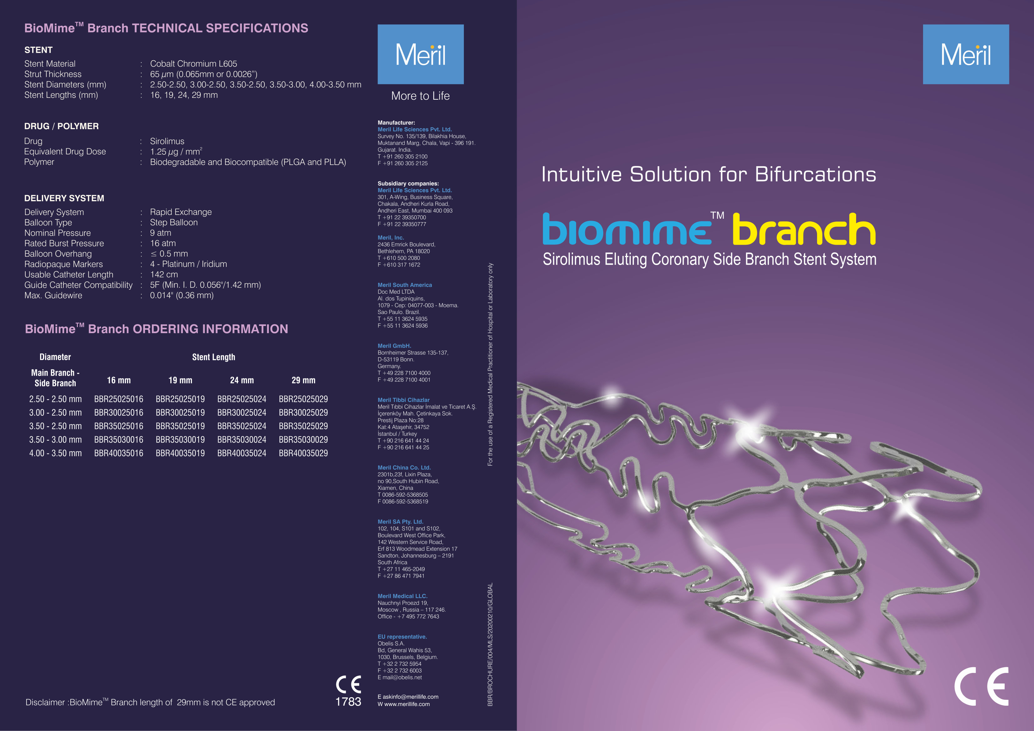 BioMime Branch Sirolimus Eluting Coronary Side Branch Stent System